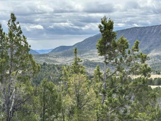 TBD LOT 13 COUNTY ROAD 266, RIFLE, CO 81650, photo 5 of 22