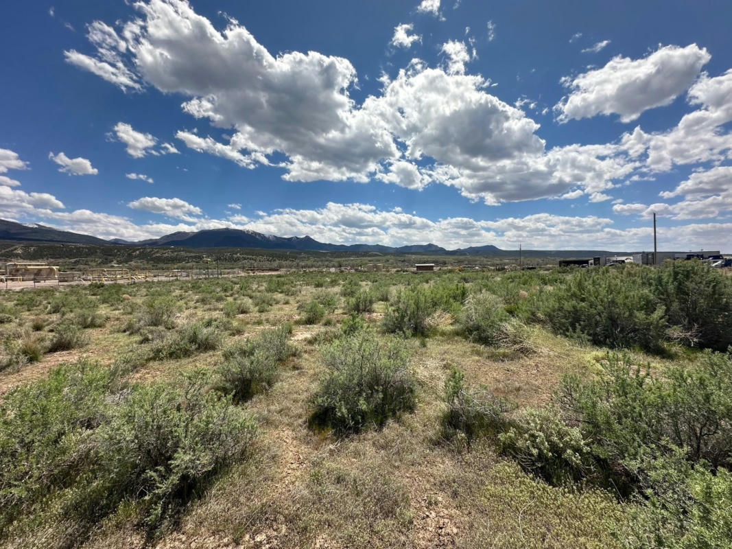 260 BUDS WAY, PARACHUTE, CO 81635, photo 1 of 2