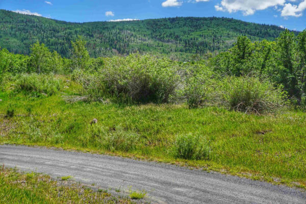 (PARCEL 7) TBD HIGHWAY 65, MESA, CO 81643, photo 2 of 26