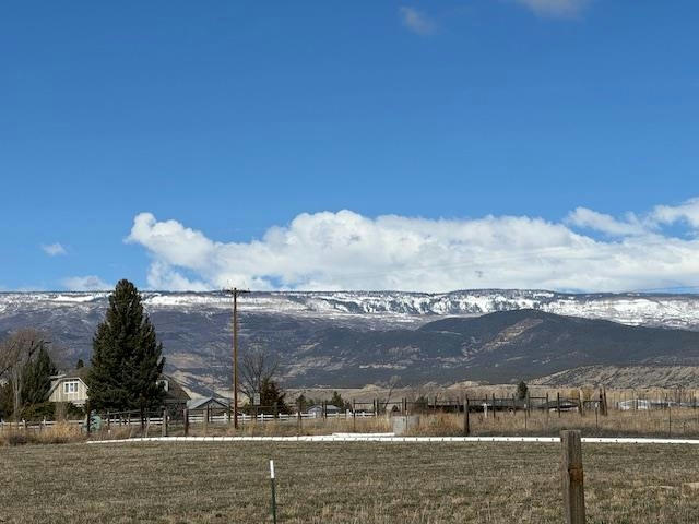 21030 NORTH RD, ECKERT, CO 81418, photo 1 of 21
