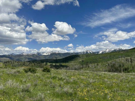 TBD COUNTY ROAD 5 # TRACT 10, RIDGWAY, CO 81432, photo 4 of 19