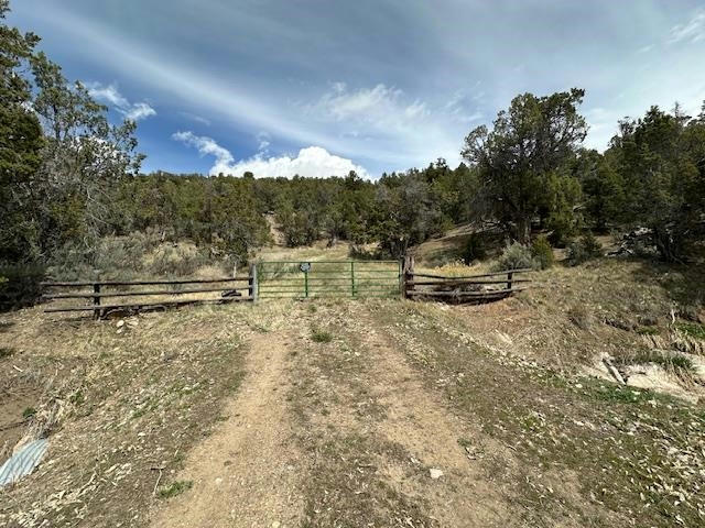 TBD LOT 13 COUNTY ROAD 266, RIFLE, CO 81650, photo 1 of 22