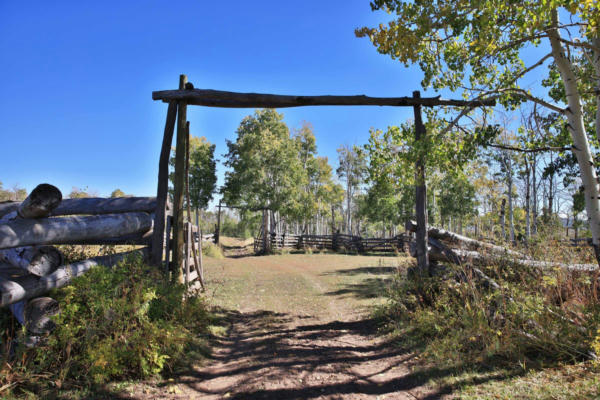 TBD DIVIDE ROAD, WHITEWATER, CO 81527, photo 5 of 39