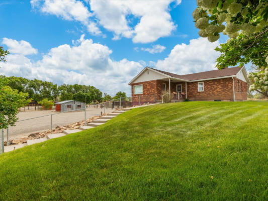 782 25 3/4 RD, GRAND JUNCTION, CO 81505 - Image 1