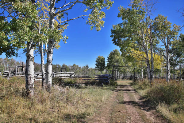 TBD DIVIDE ROAD, WHITEWATER, CO 81527, photo 4 of 39