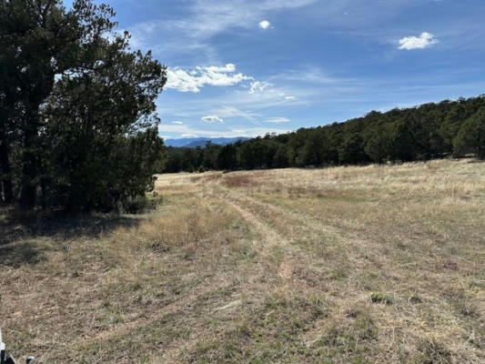 TBD LOT 13 COUNTY ROAD 266, RIFLE, CO 81650, photo 4 of 22