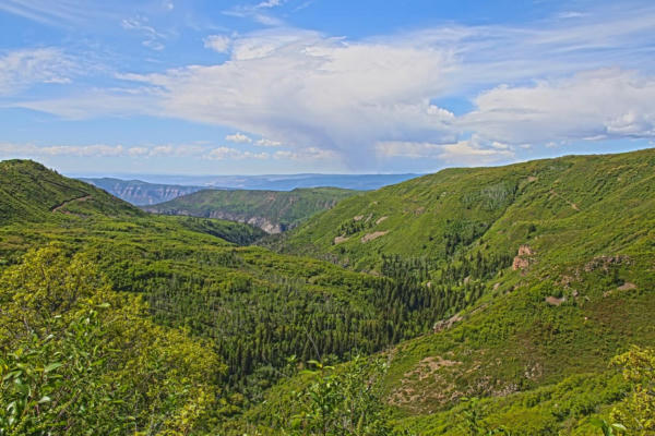 TBD HIGHWAY 141, GATEWAY, CO 81522 - Image 1